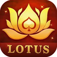 rummy wil download